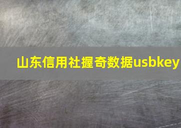 山东信用社握奇数据usbkey