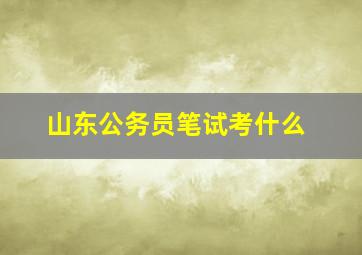 山东公务员笔试考什么