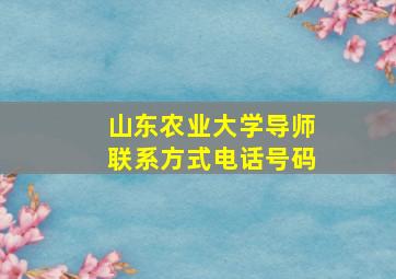 山东农业大学导师联系方式电话号码