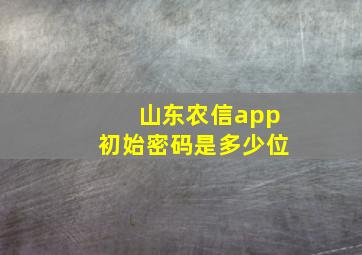 山东农信app初始密码是多少位