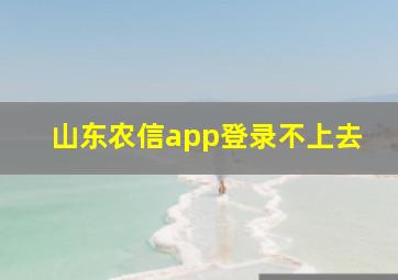 山东农信app登录不上去