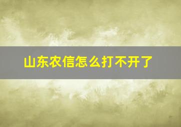 山东农信怎么打不开了