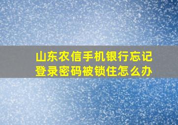 山东农信手机银行忘记登录密码被锁住怎么办