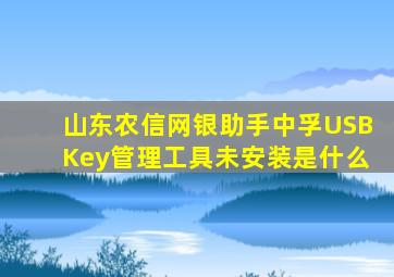 山东农信网银助手中孚USBKey管理工具未安装是什么