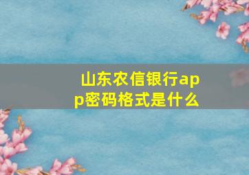 山东农信银行app密码格式是什么