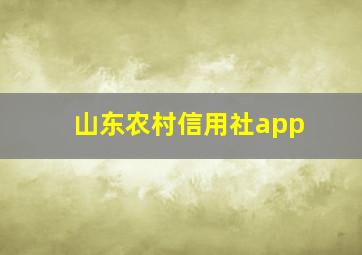 山东农村信用社app