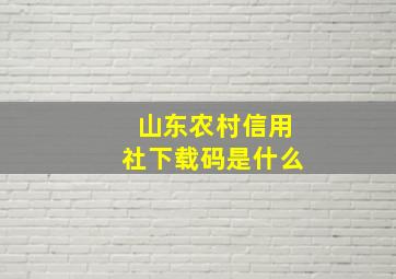 山东农村信用社下载码是什么