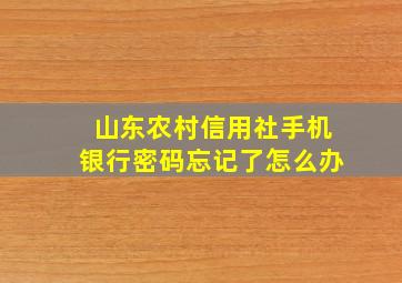 山东农村信用社手机银行密码忘记了怎么办