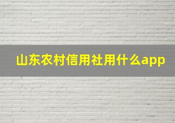 山东农村信用社用什么app