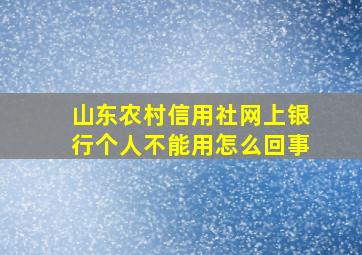 山东农村信用社网上银行个人不能用怎么回事