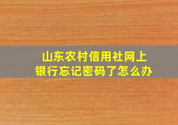 山东农村信用社网上银行忘记密码了怎么办