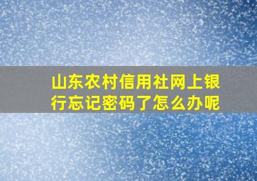 山东农村信用社网上银行忘记密码了怎么办呢