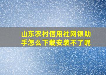 山东农村信用社网银助手怎么下载安装不了呢