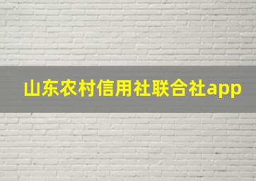 山东农村信用社联合社app