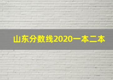 山东分数线2020一本二本