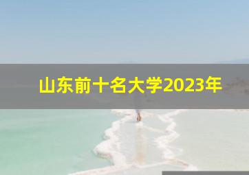 山东前十名大学2023年