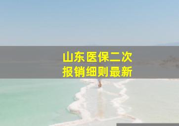 山东医保二次报销细则最新