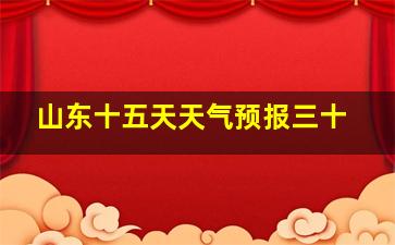 山东十五天天气预报三十