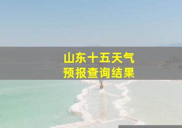 山东十五天气预报查询结果