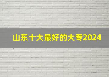 山东十大最好的大专2024