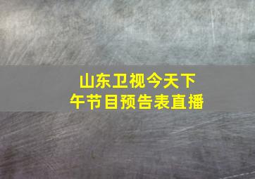 山东卫视今天下午节目预告表直播