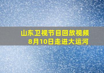 山东卫视节目回放视频8月10日走进大运河