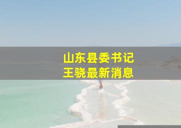 山东县委书记王骁最新消息