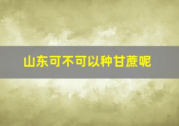 山东可不可以种甘蔗呢