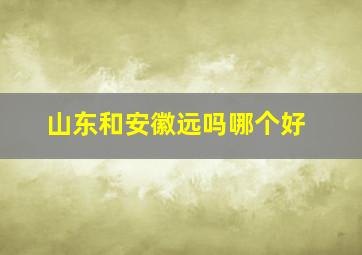 山东和安徽远吗哪个好