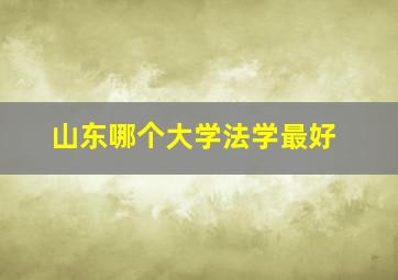 山东哪个大学法学最好