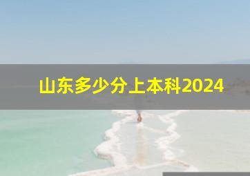 山东多少分上本科2024