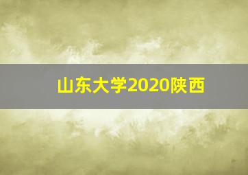 山东大学2020陕西