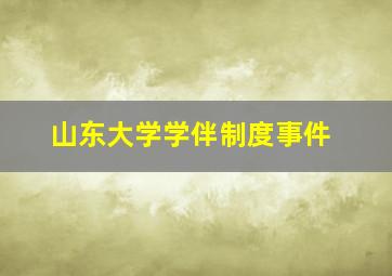 山东大学学伴制度事件