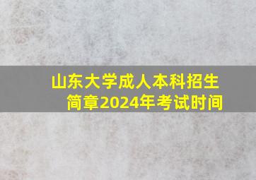 山东大学成人本科招生简章2024年考试时间