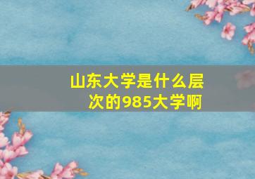 山东大学是什么层次的985大学啊