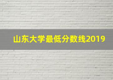 山东大学最低分数线2019