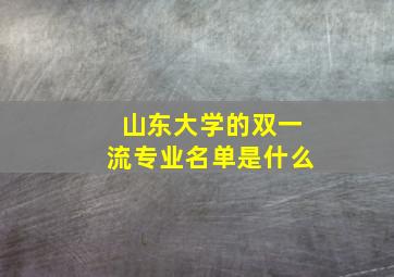 山东大学的双一流专业名单是什么