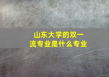 山东大学的双一流专业是什么专业