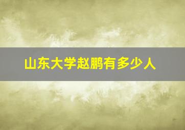 山东大学赵鹏有多少人