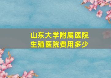 山东大学附属医院生殖医院费用多少