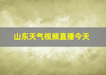 山东天气视频直播今天