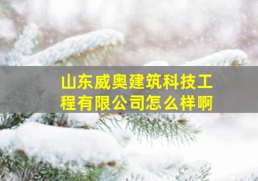 山东威奥建筑科技工程有限公司怎么样啊