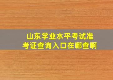 山东学业水平考试准考证查询入口在哪查啊