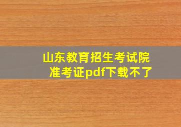 山东教育招生考试院准考证pdf下载不了