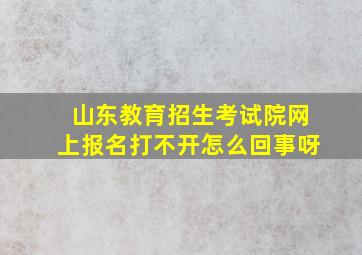 山东教育招生考试院网上报名打不开怎么回事呀