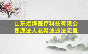 山东斌烨医疗科技有限公司原法人赵希波违法犯罪