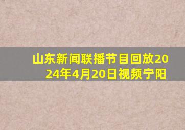 山东新闻联播节目回放2024年4月20日视频宁阳