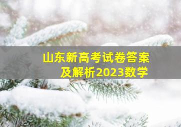 山东新高考试卷答案及解析2023数学