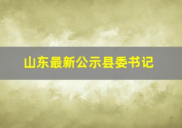 山东最新公示县委书记