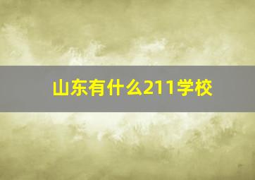 山东有什么211学校